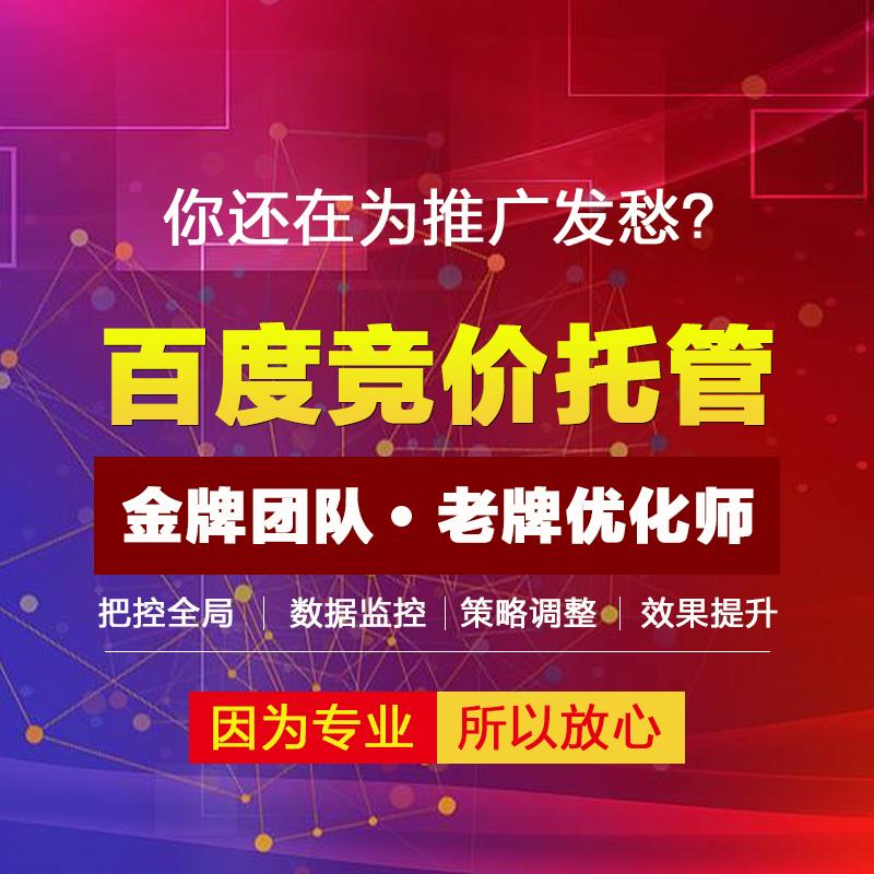 百度竞价广告怎么投放出来