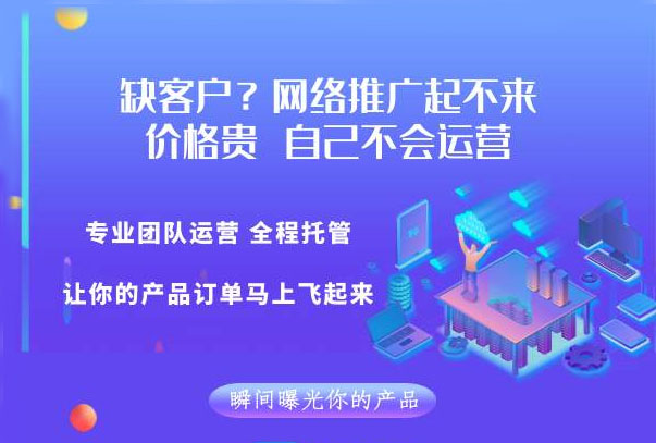 品牌seo推广代运营