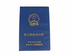 zheng5 Qualification honor