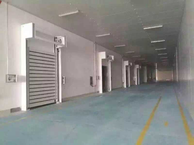 硬质快速门